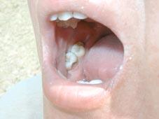 �����S���̂��΂���