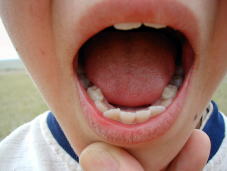 �����S���̒j�̎q